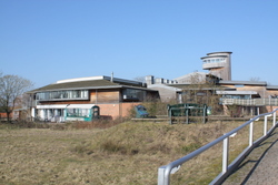 Slimbridge wildlife trust